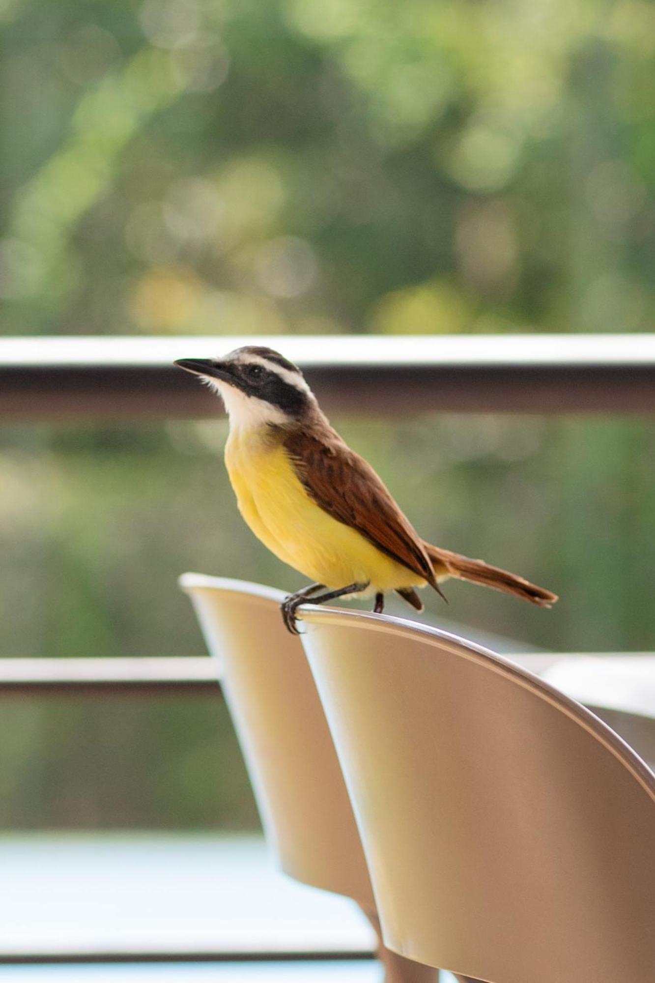 Natura Reservado - Hoteles Natura Anapoima Luaran gambar